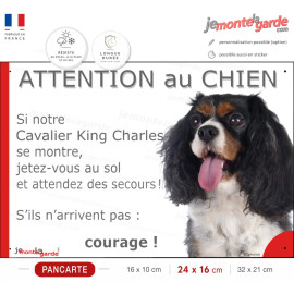 Cavalier King Charles, Panneau humour "Attention au Chien, Jetez-vous au sol, courage !"