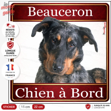 Beauceron arlequin Tête, sticker carré "Chien à Bord" autocollant photo auto, Berger de Beauce bleu merle adhésif vitre voiture