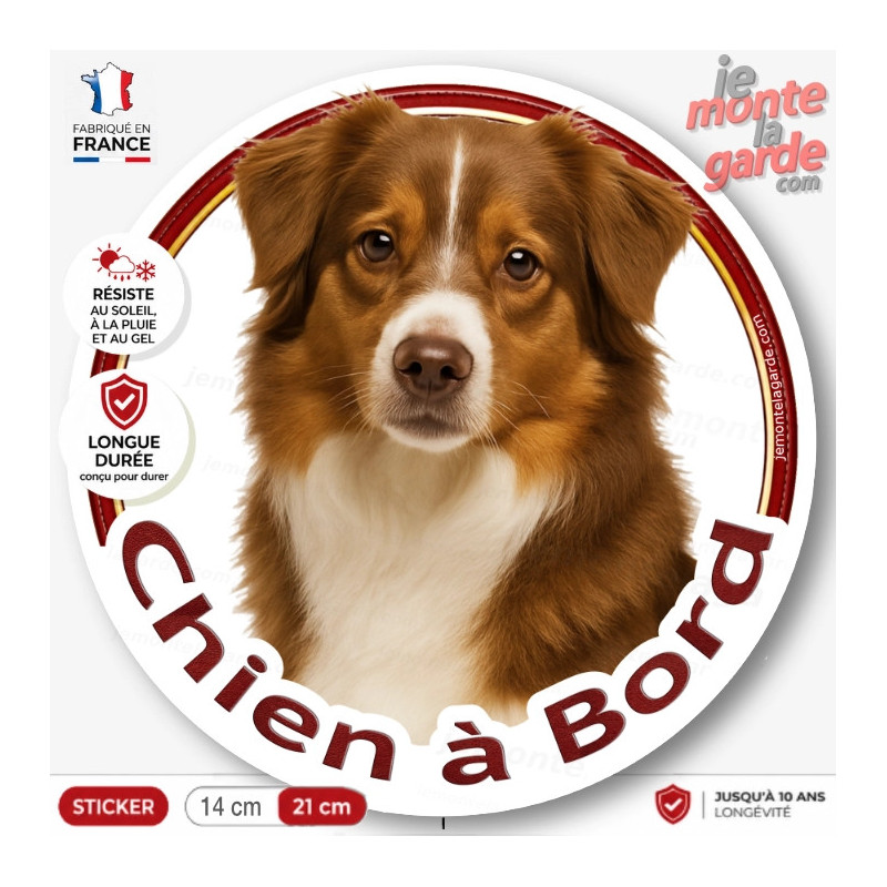 Sticker chien à bord Berger Américain Miniature rouge, photo autocollant rond voiture vitre arrière, résiste pluie soleil gel