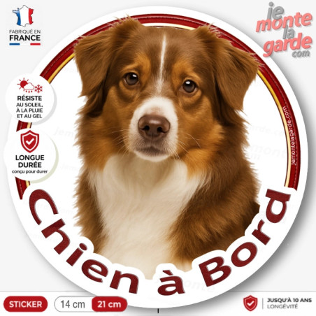 Sticker chien à bord Berger Américain Miniature rouge, photo autocollant rond voiture vitre arrière, résiste pluie soleil gel