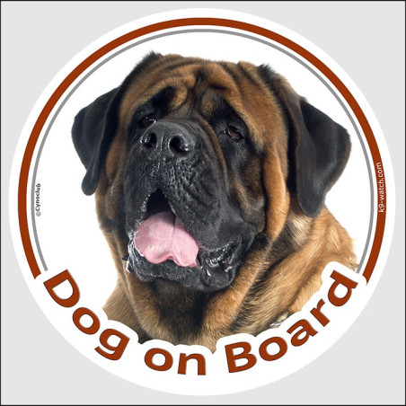 Fawn English Mastiff “Dog on Board” car sticker featuring a powerful black mask and short-haired portrait for vehicle windows.