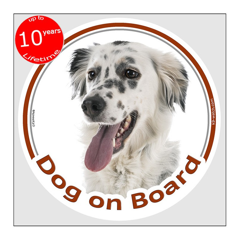 Blue Belton English Setter “Dog on Board” car sticker featuring an elegant English Setter portrait for vehicle windows.
