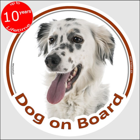 Blue Belton English Setter “Dog on Board” car sticker featuring an elegant English Setter portrait for vehicle windows.