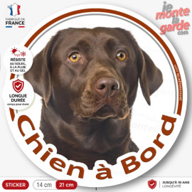 Labrador Chocolat marron brun Tête, sticker autocollant rond "Chien à Bord" disque adhésif photo vitre voiture