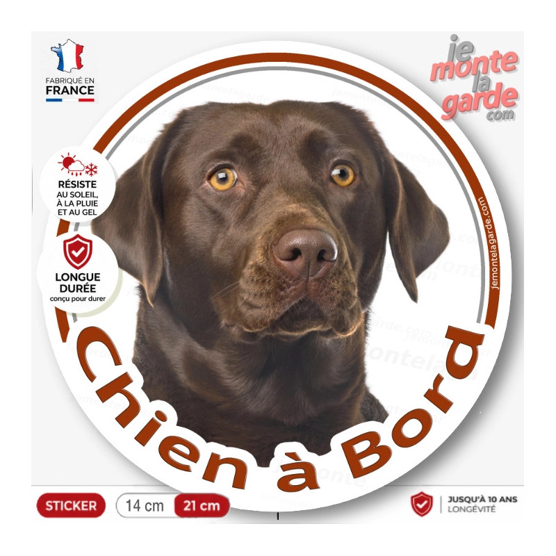 Labrador Chocolat marron brun Tête, sticker autocollant rond "Chien à Bord" disque adhésif photo vitre voiture