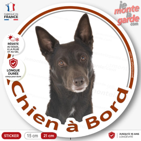 Kelpie Australien, sticker autocollant rond "Chien à Bord" disque, adhésif photo chien voiture, résiste dehors