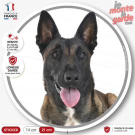 Berger Belge Malinois, sticker autocollant rond "photo" Disque résiste dehors, idée cadeau, fabriqué en France