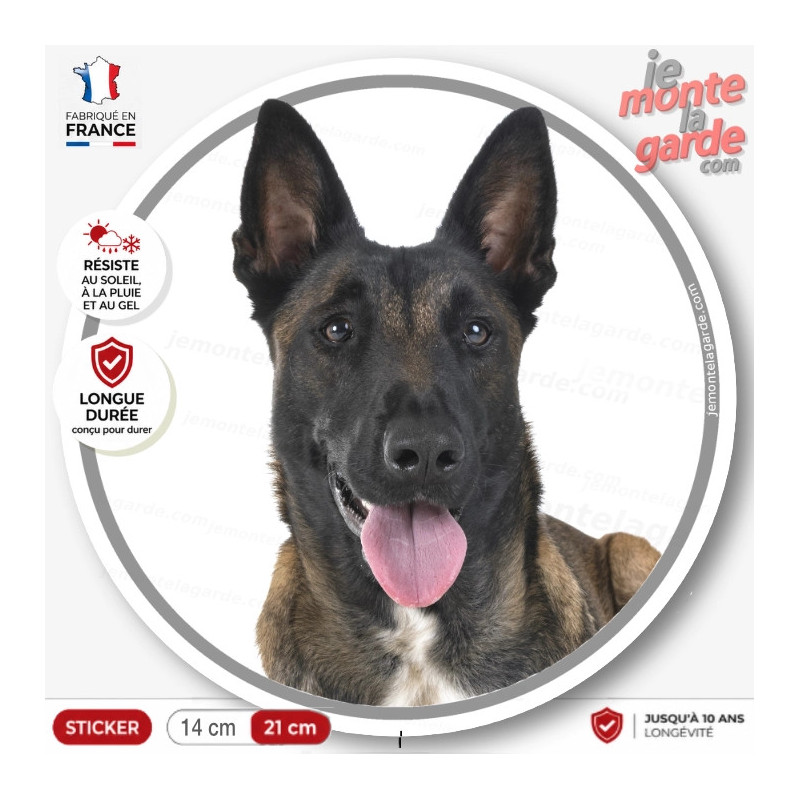 Berger Belge Malinois, sticker autocollant rond "photo" Disque résiste dehors, idée cadeau, fabriqué en France
