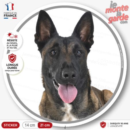 Berger Belge Malinois, sticker autocollant rond "photo" Disque résiste dehors, idée cadeau, fabriqué en France