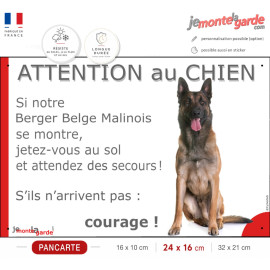 Berger Belge Malinois assis, plaque humour "Attention au Chien, Jetez Vous au Sol" portail photo, résiste dehors