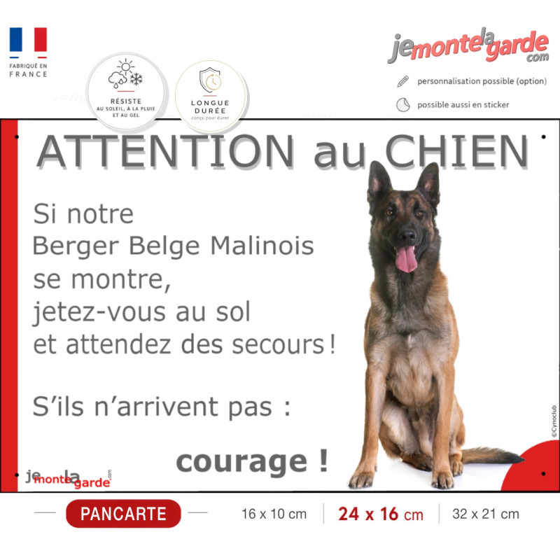 Berger Belge Malinois assis, plaque humour "Attention au Chien, Jetez Vous au Sol" portail photo, résiste dehors