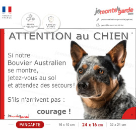 Bouvier Australien moucheté bleu, plaque portail humour "Attention au Chien, Jetez Vous au Sol, attendez secours, courage" photo
