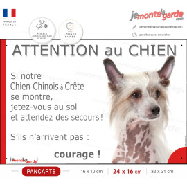 Chien Nu Chinois à Crête, plaque portail humour "Attention au Chien, Jetez Vous au Sol, attendez secours, courage" photo résiste