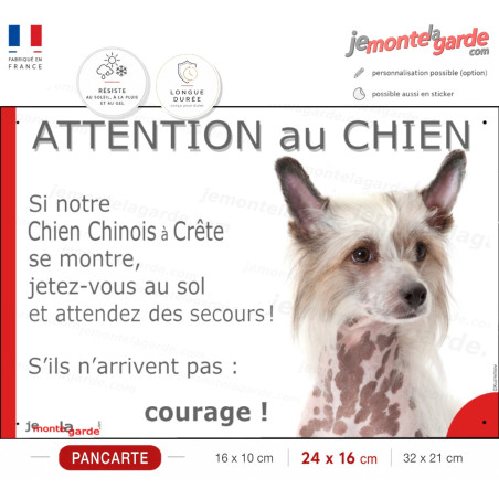 Chien Nu Chinois à Crête, plaque portail humour "Attention au Chien, Jetez Vous au Sol, attendez secours, courage" photo résiste