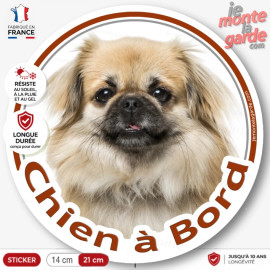 Epagneul Tibétain fauve charbonné, disque photo autocollant photo "Chien à Bord" adhésif rond vitre voiture résiste dehors