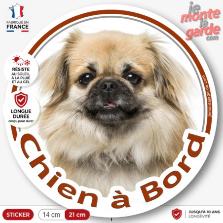 Epagneul Tibétain fauve charbonné, disque photo autocollant photo "Chien à Bord" adhésif rond vitre voiture résiste dehors