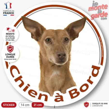 Podenco rouge fauve, sticker autocollant rond "Chien à Bord" Disque photo adhésif vitre voiture photo, résiste dehors