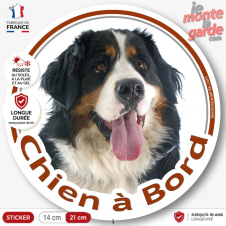 Bouvier Bernois, sticker autocollant rond "Chien à Bord" Disque adhésif photo vitre voiture, résiste dehors, idée cadeau