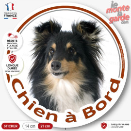 Berger Shetland tricolore, sticker autocollant rond "Chien à Bord" Disque photo adhésif vitre voiture Sheltie noir et feu