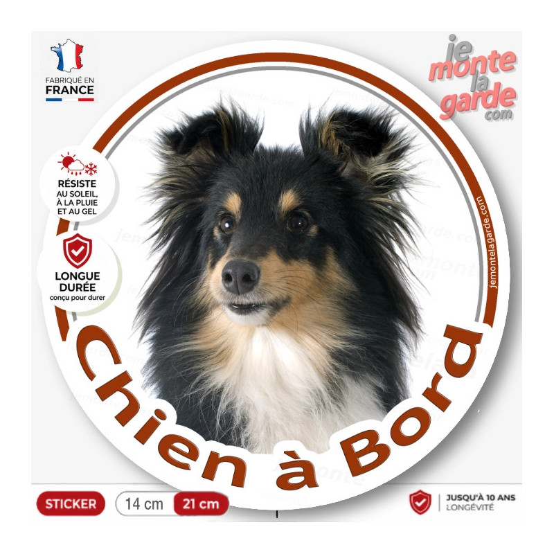 Berger Shetland tricolore, sticker autocollant rond "Chien à Bord" Disque photo adhésif vitre voiture Sheltie noir et feu
