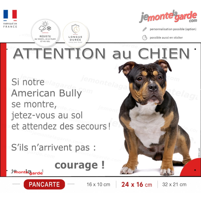 American Bully tricolore, plaque portail humour "Attention au Chien, Jetez Vous au Sol, attendez secours, courage" photo