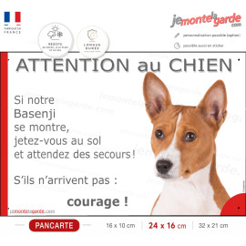 Basenji fauve, pancarte portail humour "Attention au Chien, Jetez Vous au Sol, attendez secours" photo résiste dehors