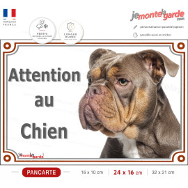 American Bully marron chocolat et tan, plaque portail "Attention au Chien" rue entrée,photo porte, résiste dehors, idée cadeau