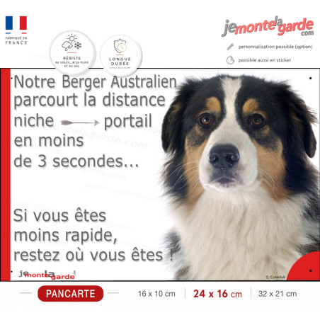 Berger Australien Tricolore Noir, plaque humour "parcourt la distance Niche-Portail en moins de 3 secondes" résiste dehors