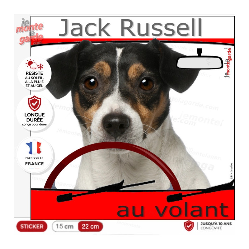 "Jack Russell Terrier tricolore au volant" panneau autocollant humoristique voiture photo sticker chien à bord, résiste dehors "Jack Russell Terrier tricolore au volant" panneau autocollant humoristique voiture photo sticker chien à bord, résiste dehors