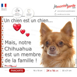 Chihuahua fauve caramel poils longs, plaque "Un chien est Membre de la Famille" photo idée cadeau, résiste dehors