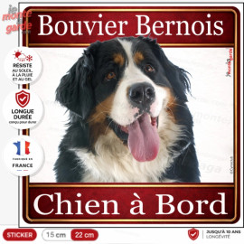 Bouvier Bernois Tête, sticker carré "Chien à Bord" autocollant photo auto, adhésif vitre voiture jaune orange, résiste dehors