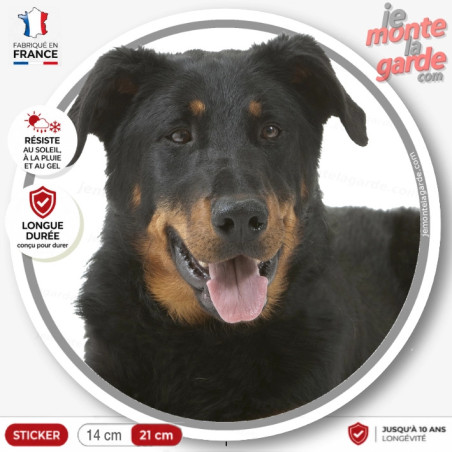 Beauceron, sticker autocollant rond "photo" Berger de Beauce noir et feu adhésif, résiste pluie soleil gel, idée cadeau