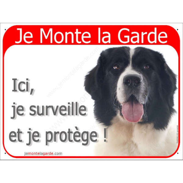 Landseer tête , Panneau Portail rouge Je Monte la Garde, affiche plaque surveille et protège attention au chien