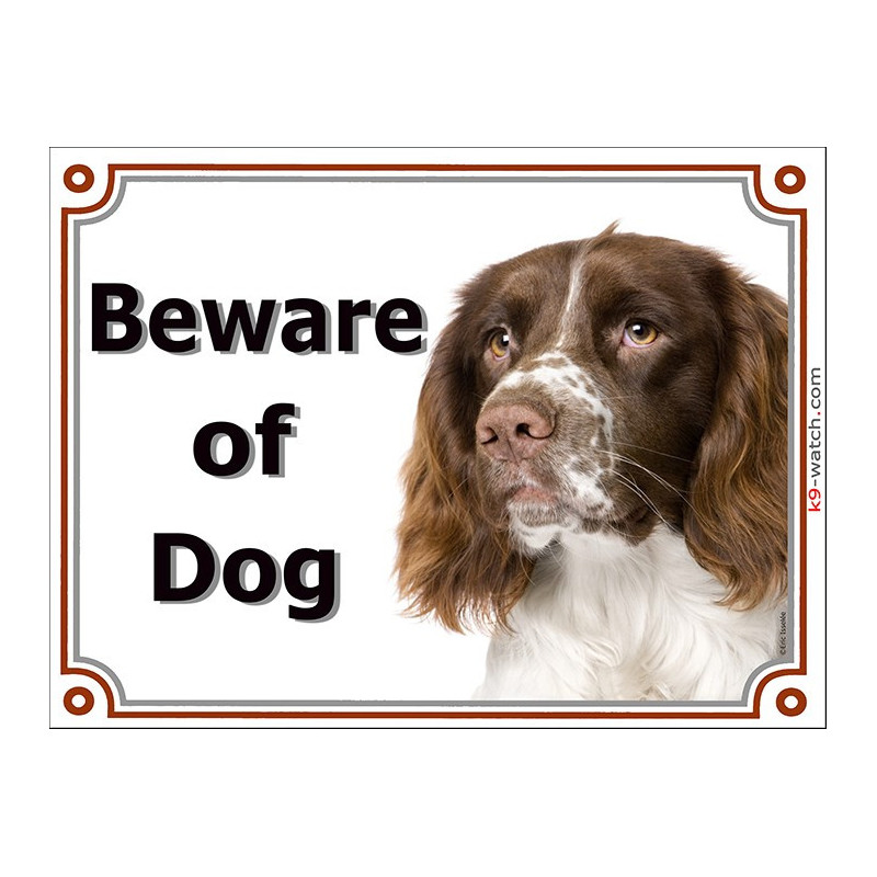 Liver and white English Springer Spaniel “Beware of Dog” gate plaque with photographic portrait, available 3 sizes Liver and white English Springer Spaniel “Beware of Dog” gate plaque with photographic portrait, available 3 sizes