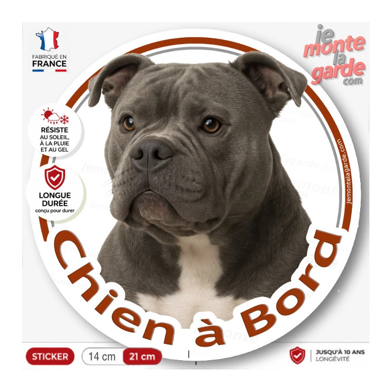 American Bully gris bleu, sticker autocollant voiture rond "Chien à Bord" Disque adhésif photo résiste intempéries