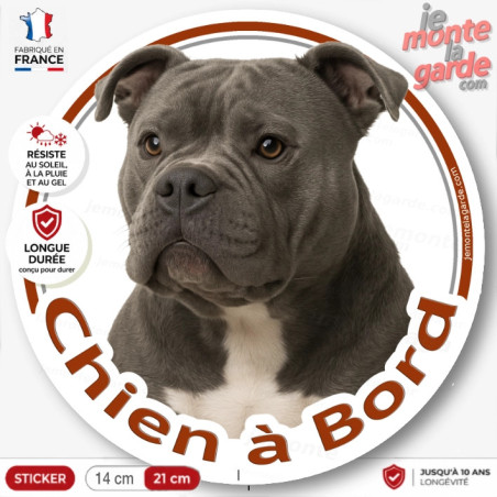 American Bully bleu, sticker voiture rond "Chien à Bord" 2 Tailles