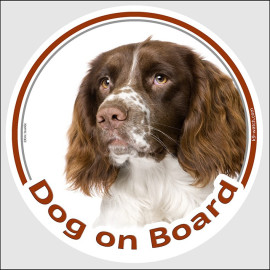 Dog on Board Sticker – Liver & White English Springer Spaniel
