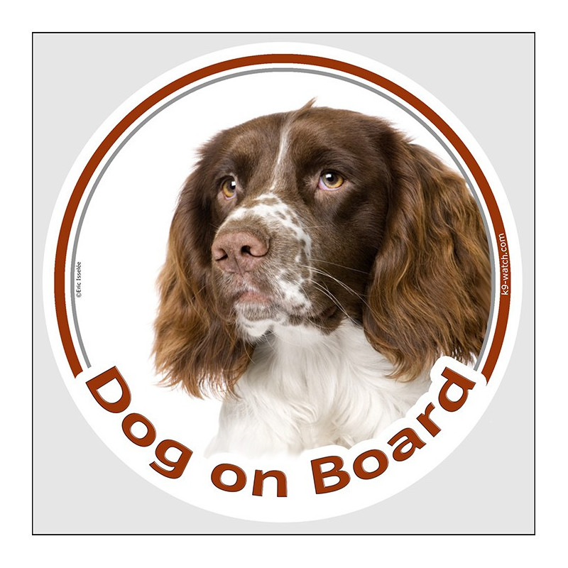 Dog on Board Sticker – Liver & White English Springer Spaniel