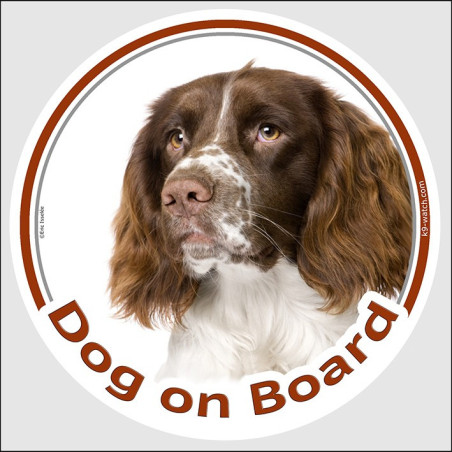 Dog on Board Sticker – Liver & White English Springer Spaniel