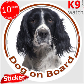 Black and white English Springer Spaniel “Dog on Board” sticker with a detailed photographic portrait and white facial blaze.