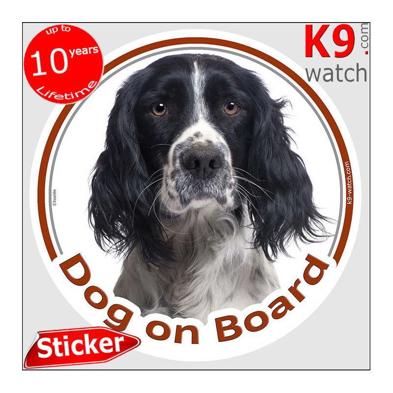 Black and white English Springer Spaniel “Dog on Board” sticker with a detailed photographic portrait and white facial blaze.