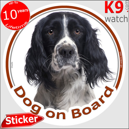 English Springer Spaniel Dog on Board Sticker | Black & White, 2 sizes