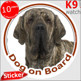 Brindle Fila Brasileiro “Dog on Board” sticker featuring the breed’s massive head, dark mask and distinctive expression.