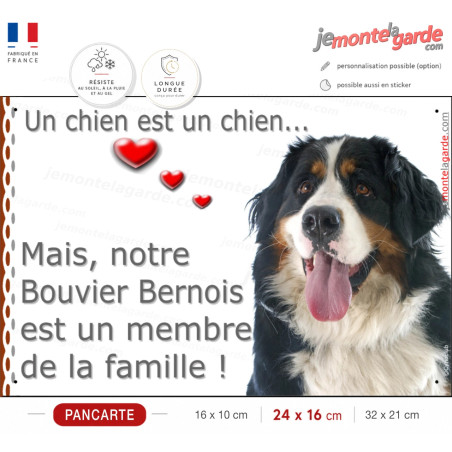 Bouvier Bernois Tête, Plaque "un chien est un membre de la famille" photo, résiste dehors, fabriqué en France, idée cadeau