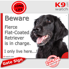 Who Runs the House? Funny Flat-Coated Retriever Gate Sign