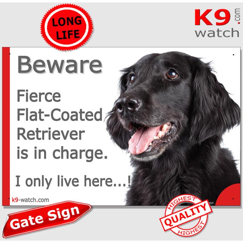 Who Runs the House? Funny Flat-Coated Retriever Gate Sign