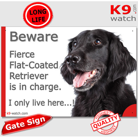 Who Runs the House? Funny Flat-Coated Retriever Gate Sign