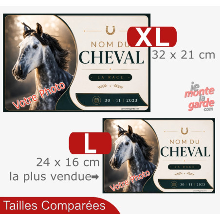 Plaque de box cheval (ou autre animal) personnalisée avec photo, nom, race et date, 2 Tailles🇫🇷