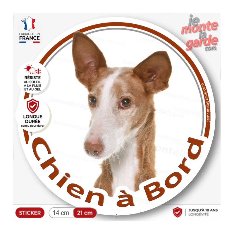 Podenco Tête, sticker autocollant rond "Chien à Bord" Disque photo adhésif vitre voiture photo, résiste dehors