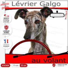 "Lévrier Galgo Espagnol bringé au volant" panneau autocollant humoristique voiture photo chien à bord, résiste extérieur